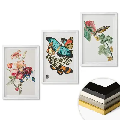 Set de tablouri pentru living cu motive de flori, fluturi și păsări