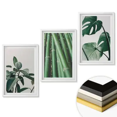 Set 3 tablouri pentru living cu fotografii elegante de frunze verzi