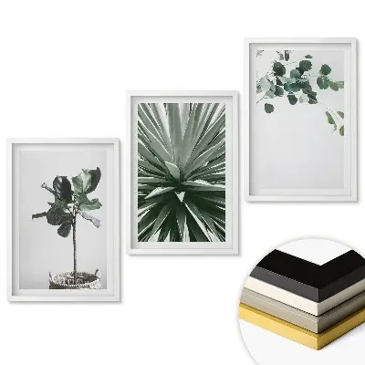 Set de 3 tablouri pentru living cu motive inspirate din plante în stil minimalist