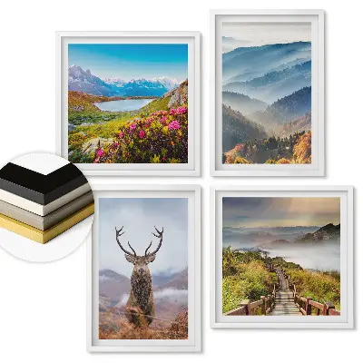 Set de 4 tablouri înrămate Natura, patru variante