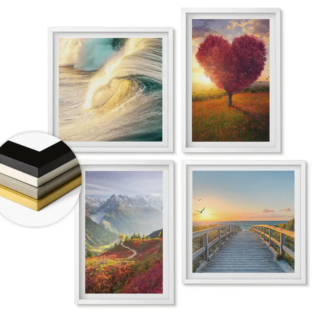 Set de 4 tablouri înrămate Natura în culori și emoții