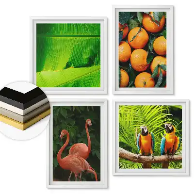 Set de 4 tablouri înrămate Frumusețea tropicală a naturii și culorilor