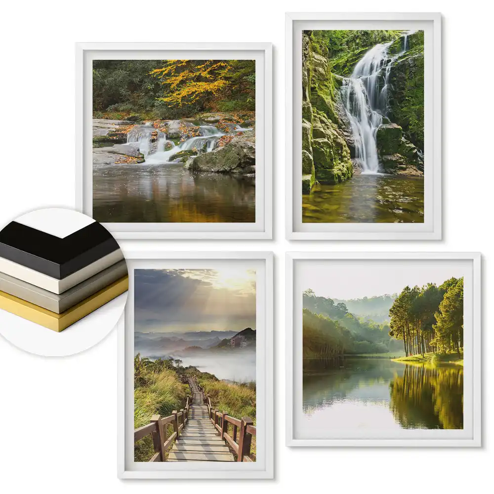 Set de 4 tablouri înrămate Natura în patru versiuni