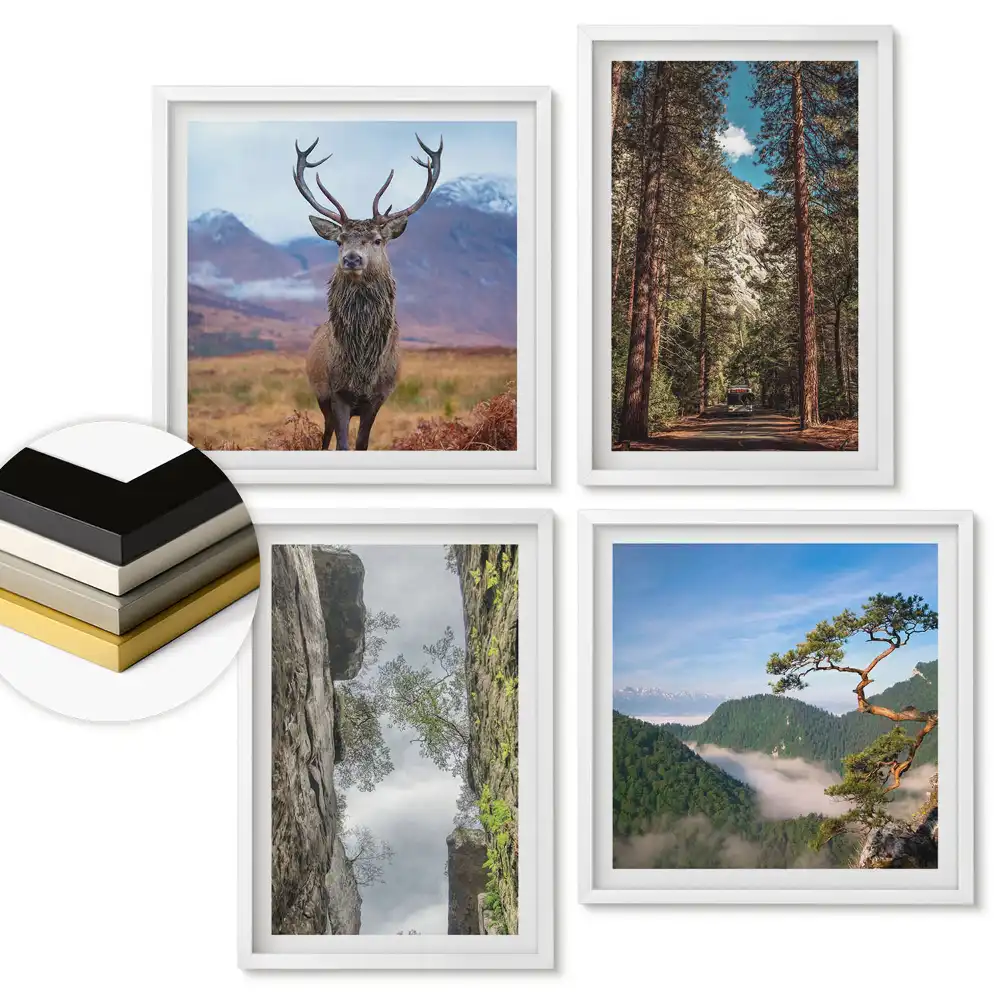 Set de 4 tablouri înrămate Natura în patru versiuni