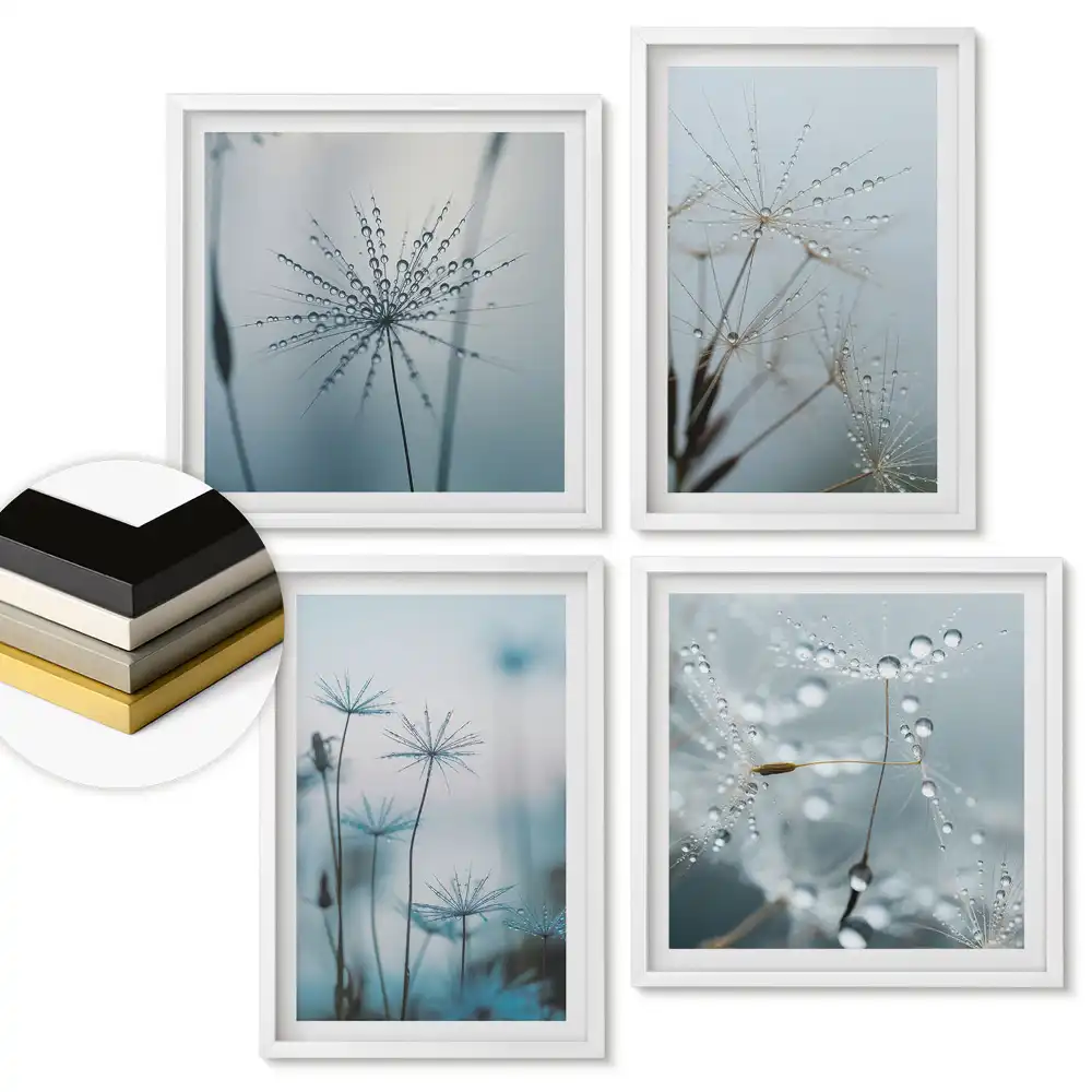 Set de 4 tablouri înrămate Picături de rouă pe plante delicate