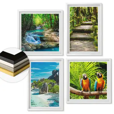 Set 4 tablouri înrămate cu peisaje tropicale și păsări exotice