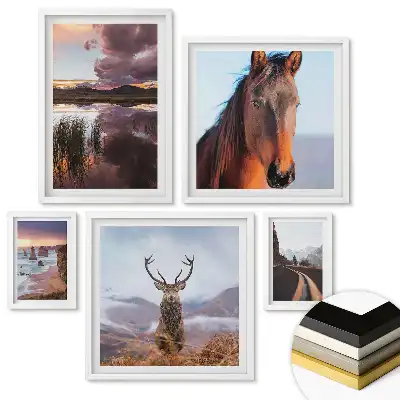 Set de 5 tablouri înrămate Natura și animalele în armonie
