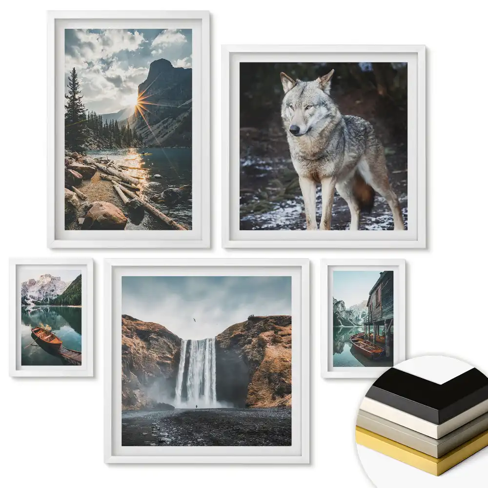 Set 5 tablouri înrămate Natura în patru versiuni