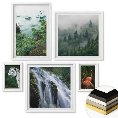 Set de 5 tablouri înrămate Natura în diverse nuanțe
