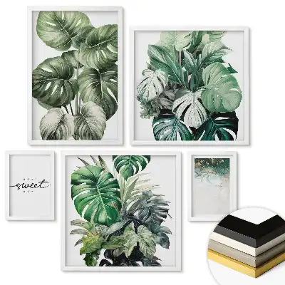 Set 5 tablouri înrămate O oază verde în casa ta