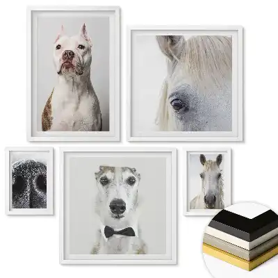 Set de tablouri înrămate Portrete de animale în stiluri variate