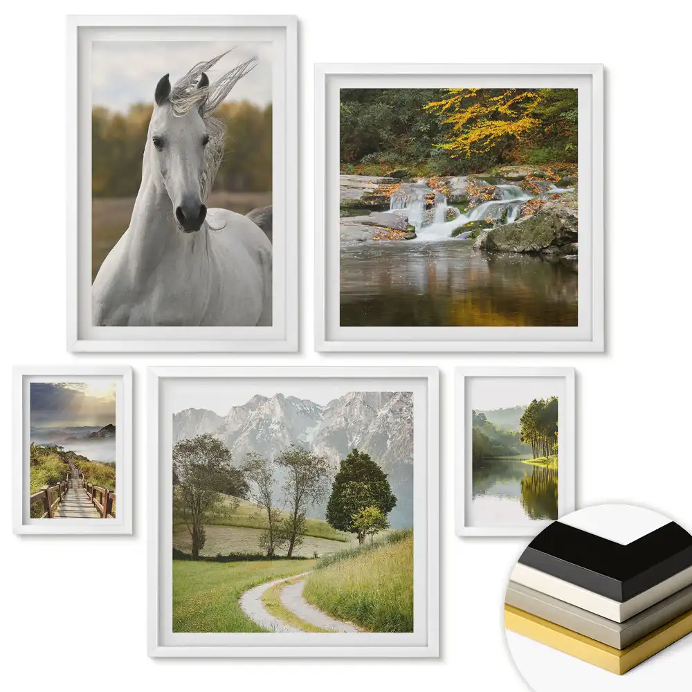 Set de 5 tablouri înrămate Natura disponibil în patru variante