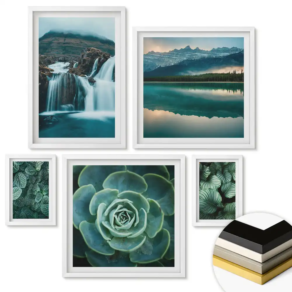 Set de 5 tablouri înrămate cu plante verzi