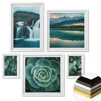 Set de 5 tablouri înrămate cu plante verzi