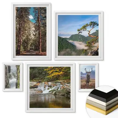 Set de 5 tablouri înrămate Natura în patru versiuni