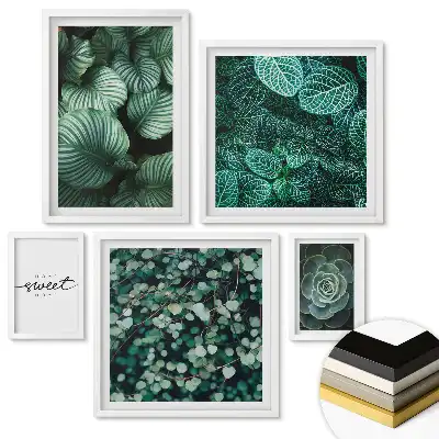 Set 5 tablouri înrămate Armonia naturii în stil minimalist