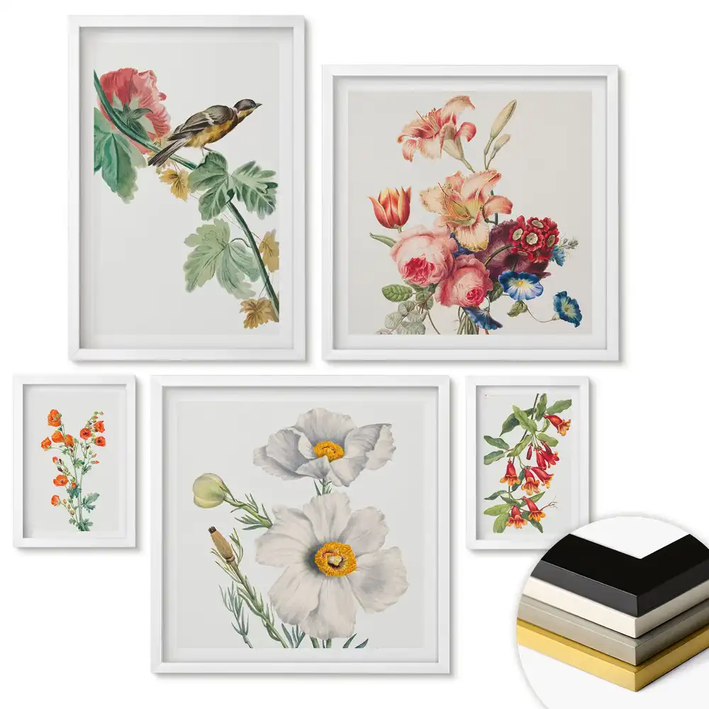 Set 5 tablouri înrămate cu motiv floral și păsări