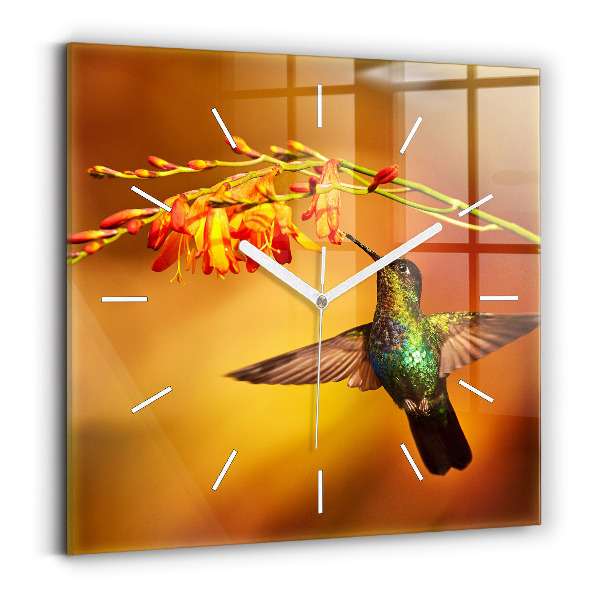 Ceas perete din sticlă pătrat Pasărea colibri