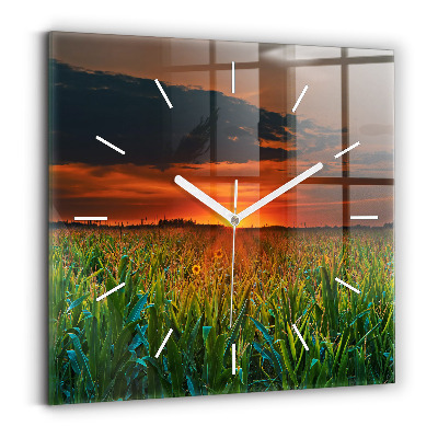 Ceas perete din sticlă pătrat Floarea-soarelui în pajiște