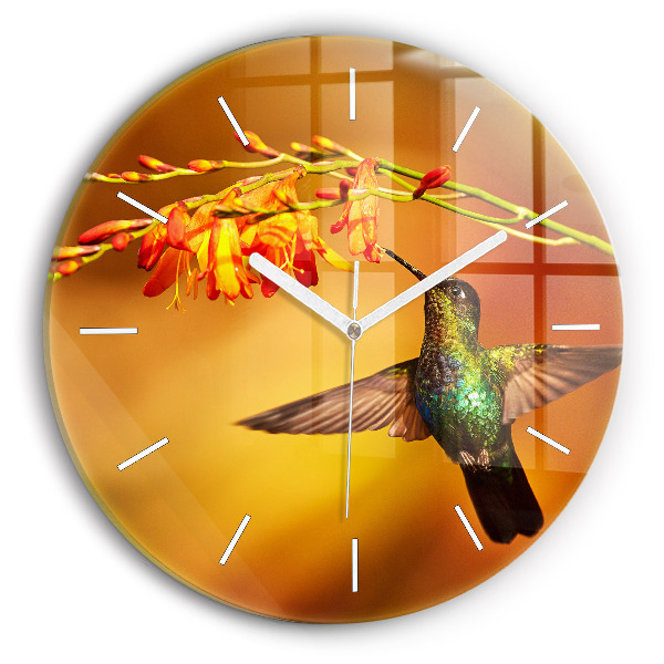 Ceas perete din sticlă rotund unic Pasărea colibri